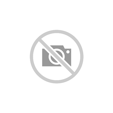 DESENGRASANTE CONCENTRADO PROFESIONAL 900ML